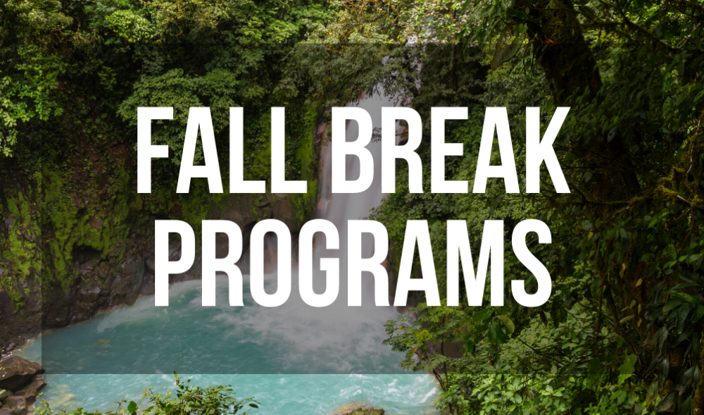 Fall Break Programs